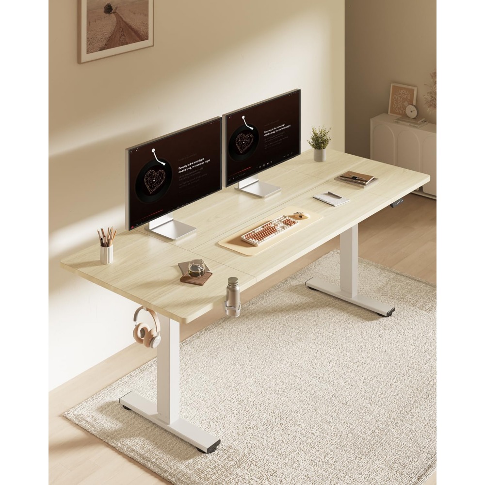 FLEXISPOT Meja Berdiri Elektri - Desk Setup Workspace ulasan dan harga